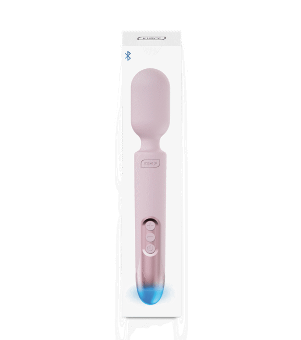 ProWand Vibrator - Image 4